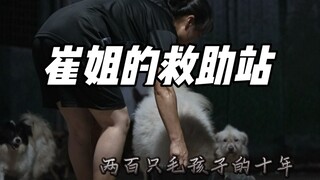 Because of her, the puppy is willing to trust humans again