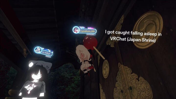 I fell asleep in VRChat and snored T∆T