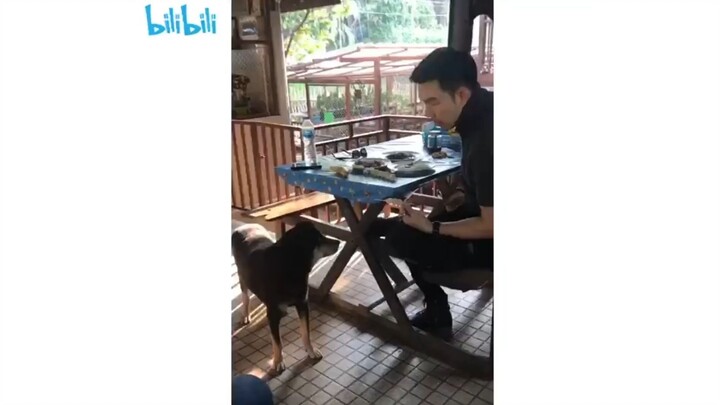 มีดารามาขอจับมือ เลี้ยงลูกชิ้นด้วยนะน้อง 😆💕