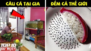 Ở Nhà Mùa Dịch | Câu Cá Tại Gia và 7749 CÁCH GIẢI TRÍ TẤU HÀI MÙA DỊCH ➤ Top 10 Thú Vị