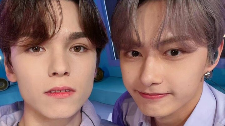 【Sweetyoung】Han-seol, who loves cats the most, and Jun-hwi, who dotes on polar bears