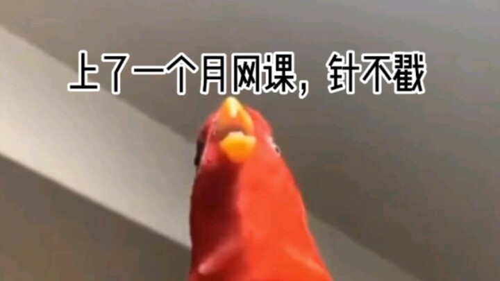 The pain of going back to school: Online classes are fun in the moment, but the real headache starts