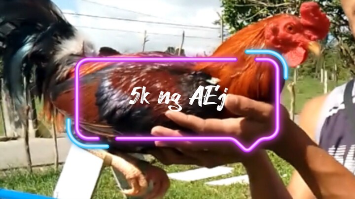 5k sweater ng AEJ GF 🔥💯