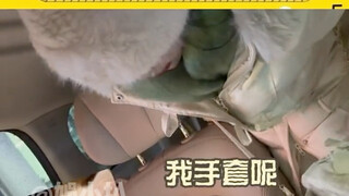 I'm totally charmed by the cuteness of Southern Little Potatoes