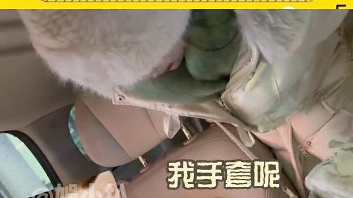 Bị khoai tây nhỏ miền Nam đáng yêu đến mức phát cuồng