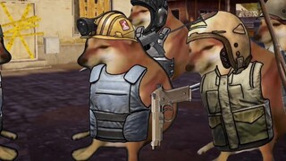 When the wanderer learned that Aja had left the farm...