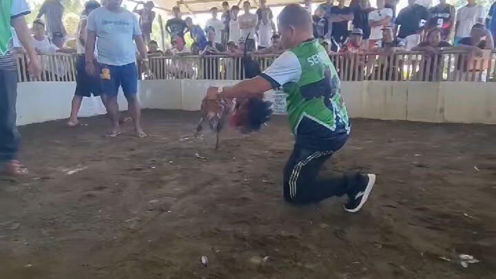 SBR win at irawan Ppc, straight comb family...2x win in one week