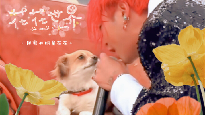 「云南BigBang」蹦山咔拉咔养我的狗·团宠花花版《Crooked》