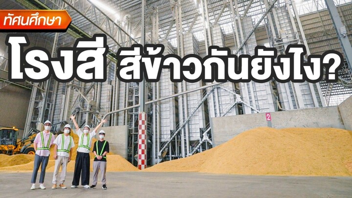 โรงสีสีข้าวกันยังไง? - ทัศนศึกษา