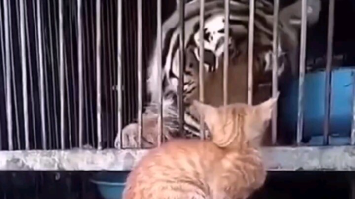 Mã: Đột nhiên hậu môn lạnh toát