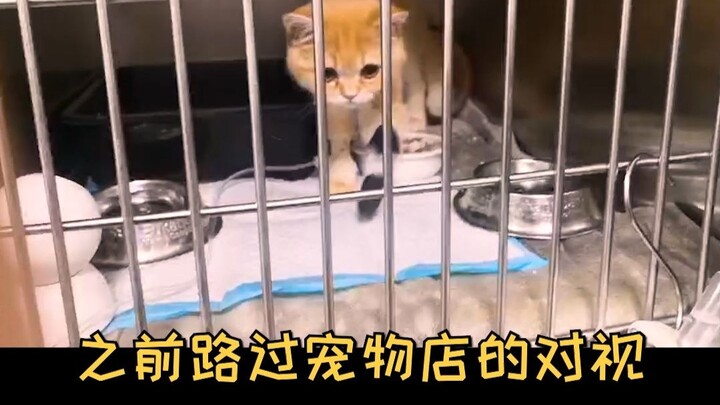 Semoga semua sehat dan bahagia di tahun 2026!