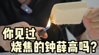 Violent lighter test on Zhong Xue Gao—this time it got burnt!