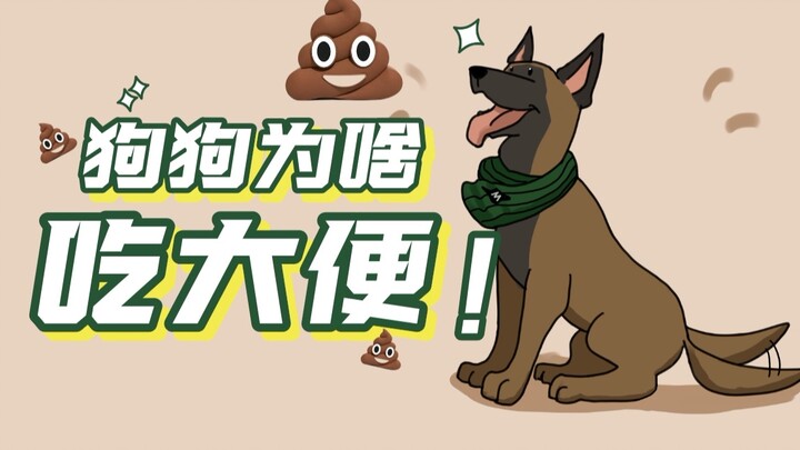 เลิกเสียเงินให้กับความเขลาได้แล้ว～! การกินอุจจาระไม่ใช่เพราะขาดธาตุอาหารรอง～!