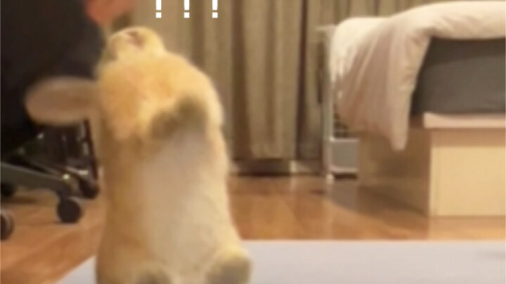 من يستطيع أن يعيش أطول منك، يا أبي الحي؟