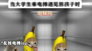 Sinh viên đại học: Chất lượng của họ không rõ, nhưng họ sẽ trở nên mạnh mẽ hơn khi gặp đối thủ mạnh 