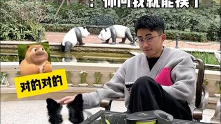 A dog owner's inner thoughts when encountering different passersby