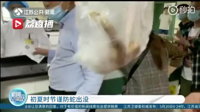 Yangzhou Grandma Bitten by a Venomous Snake, Smashes It to Death with a Hoe and Brings It to the Hos