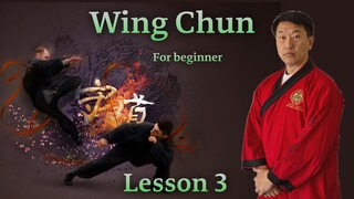 Wing Chun For beginner Lesson 3 - Siu Lim Tao