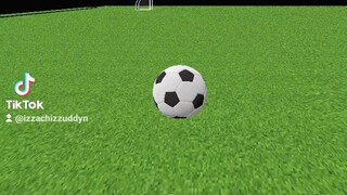 Crazy Goal Test