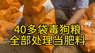 There are too many poisonous dog food in Hebei. I received more than 40 bags. It would be great if i