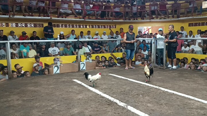 1st fight