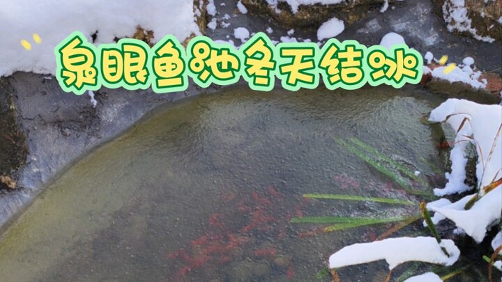 Kolam ikan sudah membeku, terus gimana nih!!??