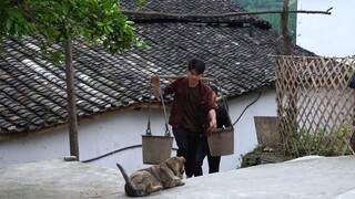 谁把荔枝放我家门口的，是东毛先吃的哦，嘿嘿