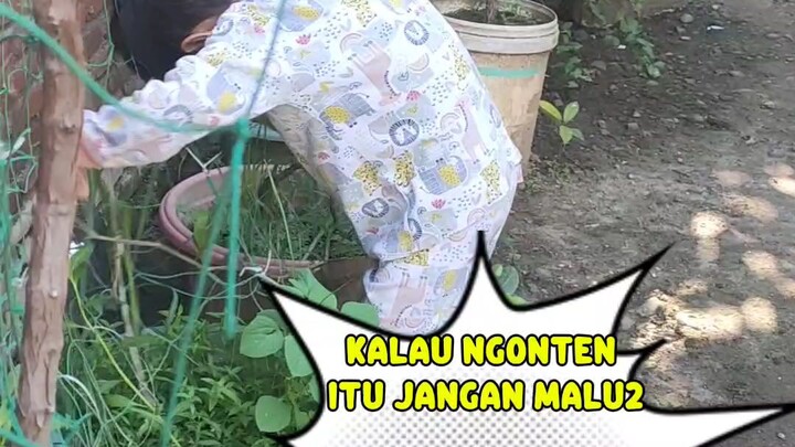 Kalau ngonten itu jangan malu2