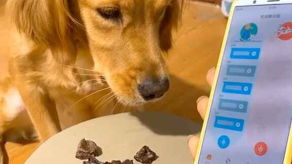 Getting further and further down the rabbit hole...