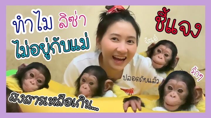 ทำไมไม่ให้ลิซ่าอยู่กับแม่? เอาน้องมาเลี้ยงทำไม? คำตอบอยู่ในคลิปนี้!!!