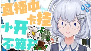 最没脑子的一集【植物大战僵尸随机版】