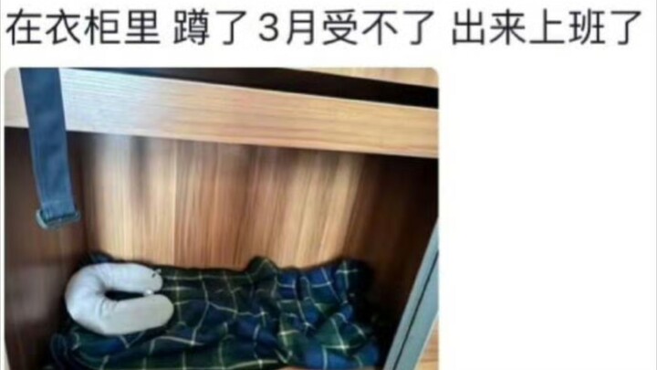 ที่แท้หลังตกงาน ทุกคนก็แกล้งทำเป็นไปทำงานกันทั้งนั้น 🤣