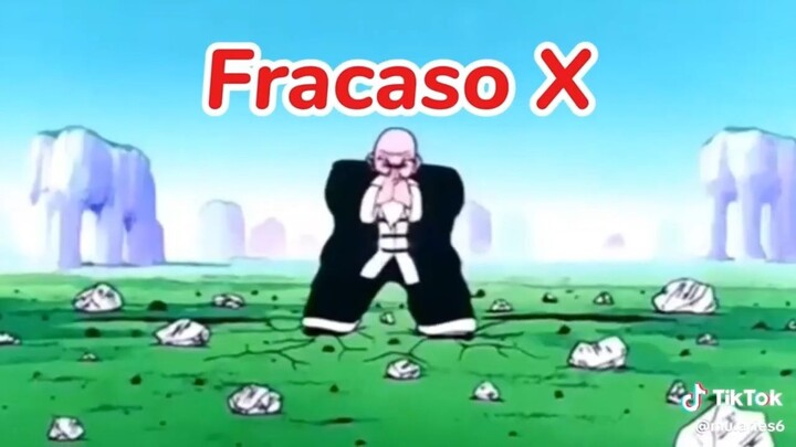 TODOS LOS MAFUBA
