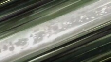 TIGER & BUNNY (Phần 2) EP 24 [Sub Việt]