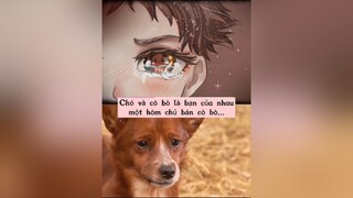 Sau đó vì quá cảm động chủ đã quyết định lấy lại con bò pet foryou