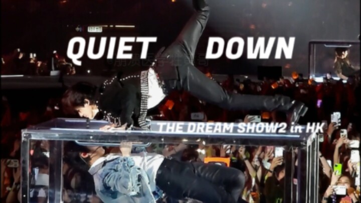 【THEDREAMSHOW2】Trong tiếng hò hét của hàng vạn người, em lặng nhìn đôi mắt em… | Clip quay dọc của L