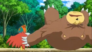 Những Pokemon ĐÁNG SỬ DỤNG NHẤT của vùng KALOS [POKEMON REGION]