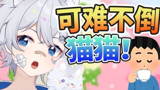 男生一共几个头？