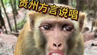 Rap dialek Guizhou