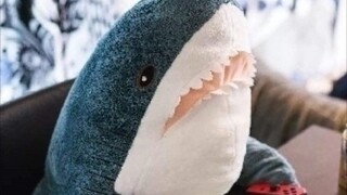 He just wants to protect the character he loves most.