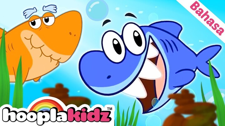 Lagu Keluarga Hiu | Bayi Hiu | Lagu Anak Anak | Hooplakidz Bahasa Indonesia