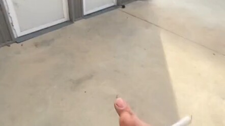 ช้าขนาดนี้ใครก็รับได้!