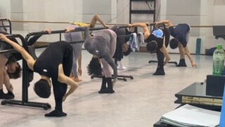 Every day when I go to work, I feel "fairy"