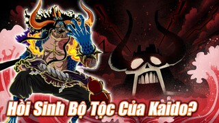 4 Giả Thuyết Hay Nhất Về Kế Hoạch Tân Onigashima? | Giả Thuyết One Piece