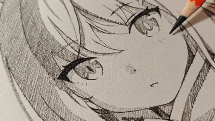 Apakah Sand Wolf White memiliki heterokromia?