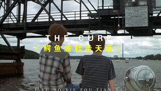 "你抓着我的烂球鞋，睡觉就不会害怕了”
