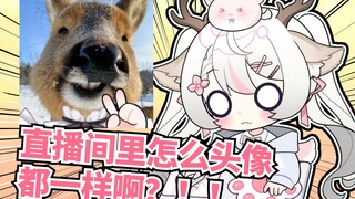 “谁家直播间里全是逆天头像啊？！！”