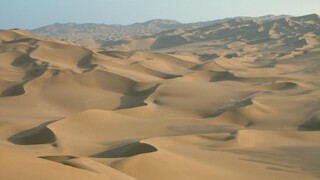 cultural desert