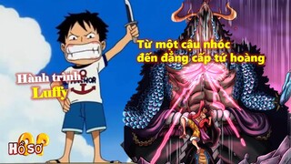 Hành trình Luffy hơn 1000 chap: Từ một cậu nhóc đến đẳng cấp tứ hoàng