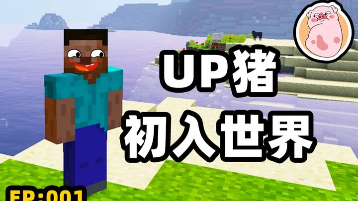 【S Peiqi】New to the world, please guide me!